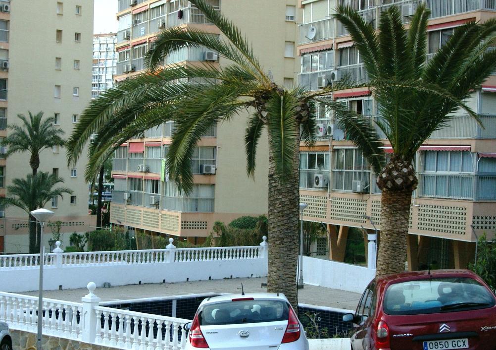 Don Miguel 1 - Arca Rent Apartment Benidorm Bagian luar foto